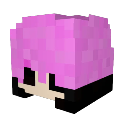 ArielaLopes Minecraft avatar head, 3D render