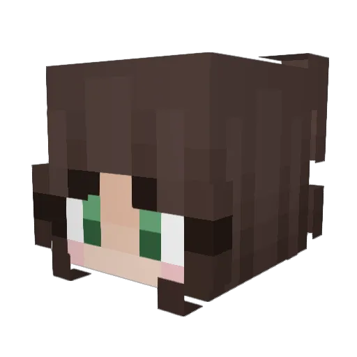 Ariell99 Minecraft avatar head, 3D render
