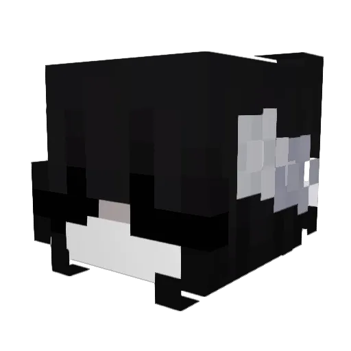 Ariellll_lyyy Minecraft avatar head, 3D render