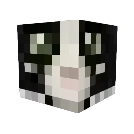 Arieloooo Minecraft avatar head, 3D render