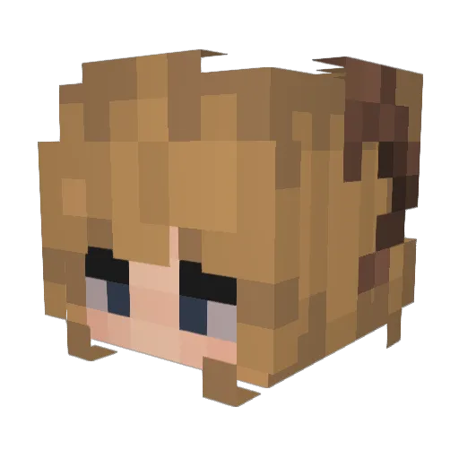 Aries6701 Minecraft avatar head, 3D render