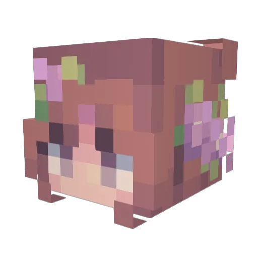 Aries_71 Minecraft avatar head, 3D render