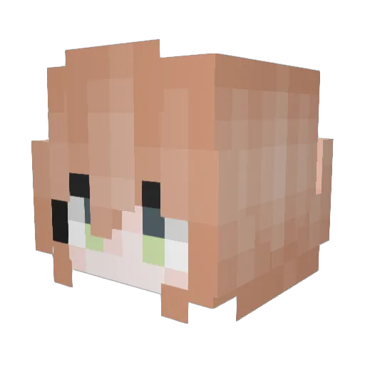 Arietta__0v0 Minecraft avatar head, 3D render