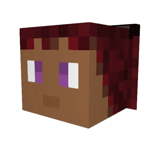 Arifairy1 Minecraft avatar head, 3D render
