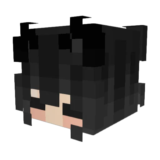 AriiStars Minecraft avatar head, 3D render