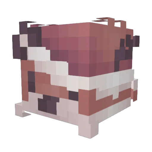 Ariiera Minecraft avatar head, 3D render