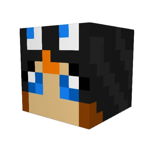 AriinW0ndrlnd Minecraft avatar head, 3D render