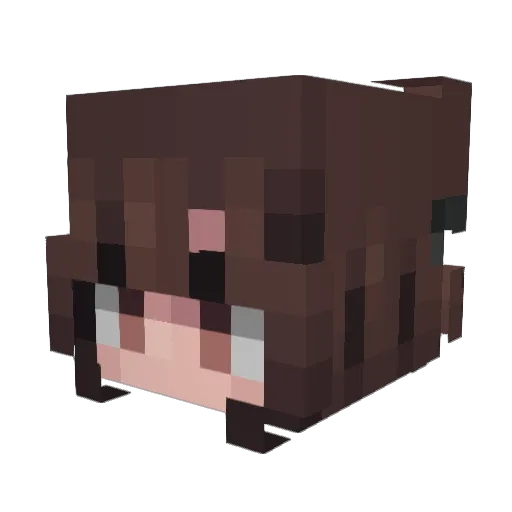 Arikurenaa Minecraft avatar head, 3D render