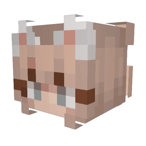 Arile65 Minecraft avatar head, 3D render