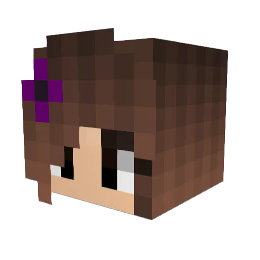 Arilynspellbane Minecraft avatar head, 3D render