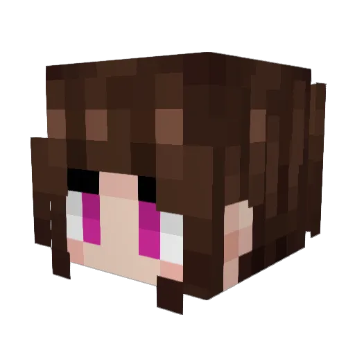 Arimar Minecraft avatar head, 3D render