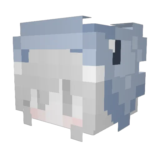 Arin2e Minecraft avatar head, 3D render