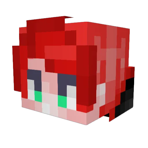 Arin9 Minecraft avatar head, 3D render