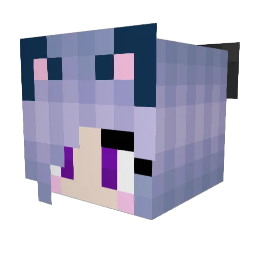 Arinim Minecraft avatar head, 3D render