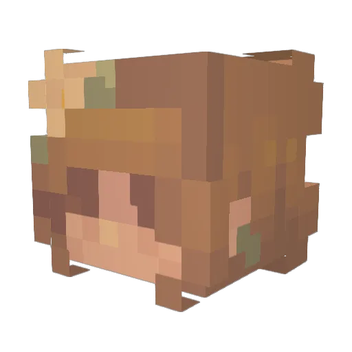 Ariosai Minecraft avatar head, 3D render