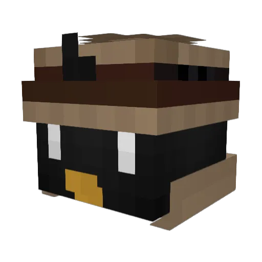 AripaDeFer Minecraft avatar head, 3D render