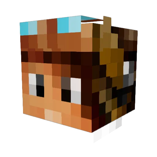 Aris06 Minecraft avatar head, 3D render
