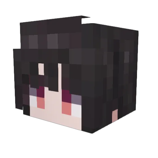 Aris1201 Minecraft avatar head, 3D render