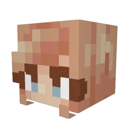Arisacce Minecraft avatar head, 3D render