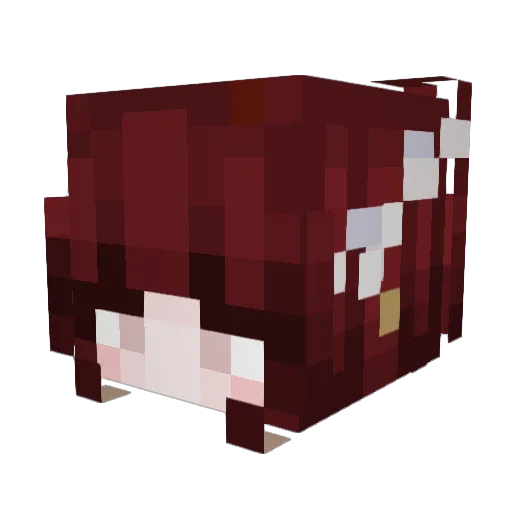 Arishi_ Minecraft avatar head, 3D render