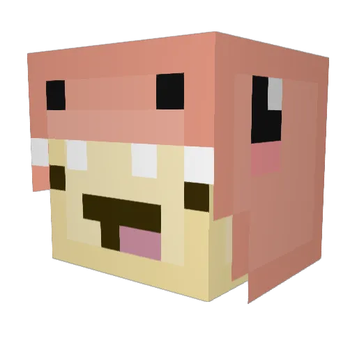 ArisiaRaven Minecraft avatar head, 3D render