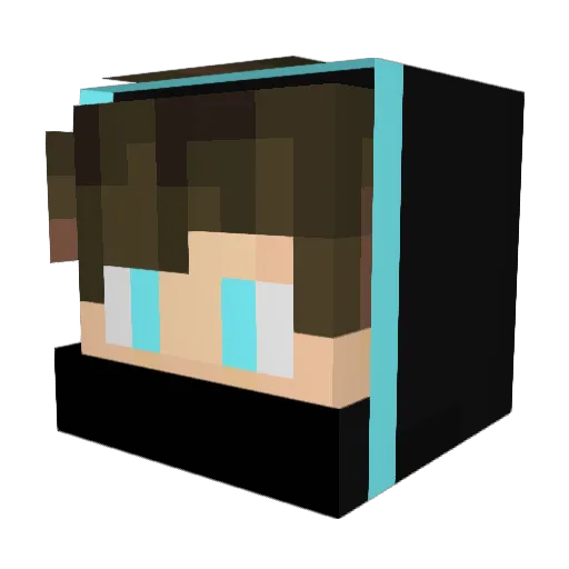Aristo7232 Minecraft avatar head, 3D render