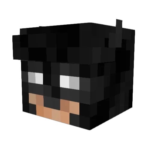 Ariteuz Minecraft avatar head, 3D render