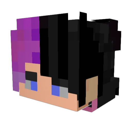 Ariwyn49 Minecraft avatar head, 3D render