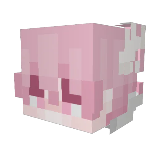 AriyaSuper Minecraft avatar head, 3D render