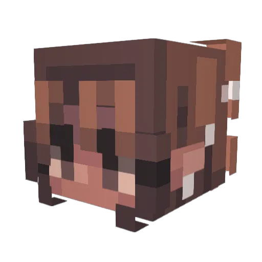 Ariyan064 Minecraft avatar head, 3D render