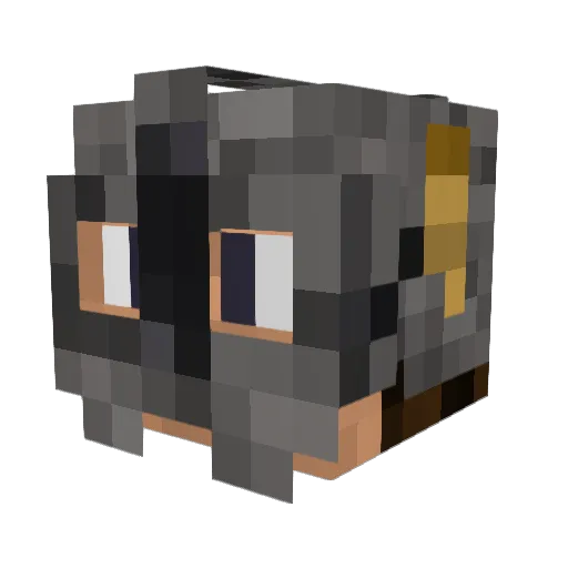 Arizon_1888 Minecraft avatar head, 3D render