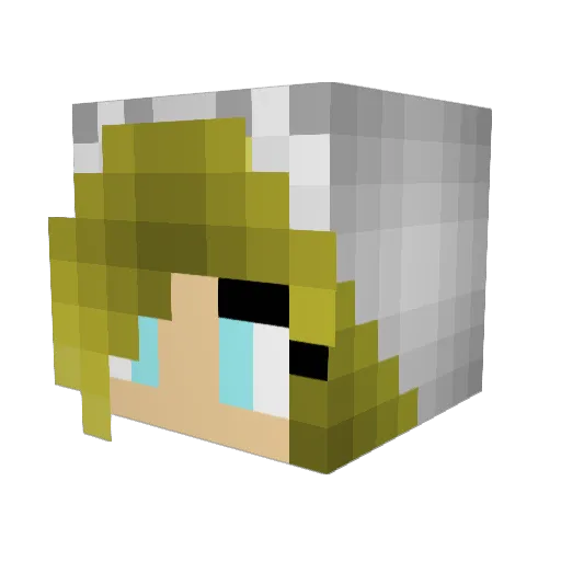 Arizona1294 Minecraft avatar head, 3D render