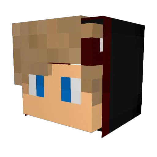 ArizonaIceTea Minecraft avatar head, 3D render