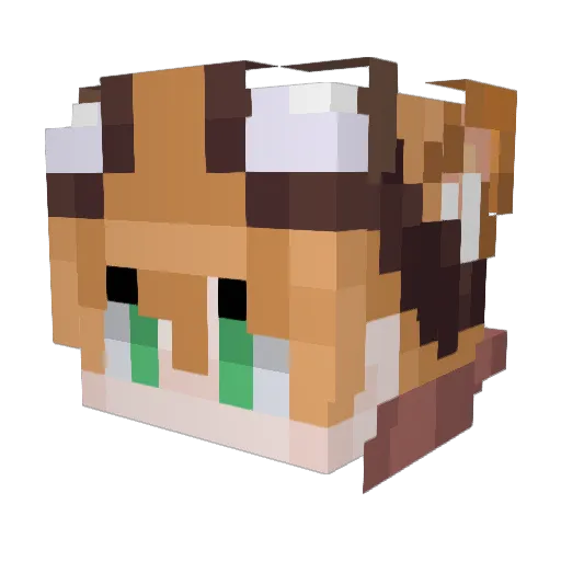 ArjunNeon53jloml Minecraft avatar head, 3D render