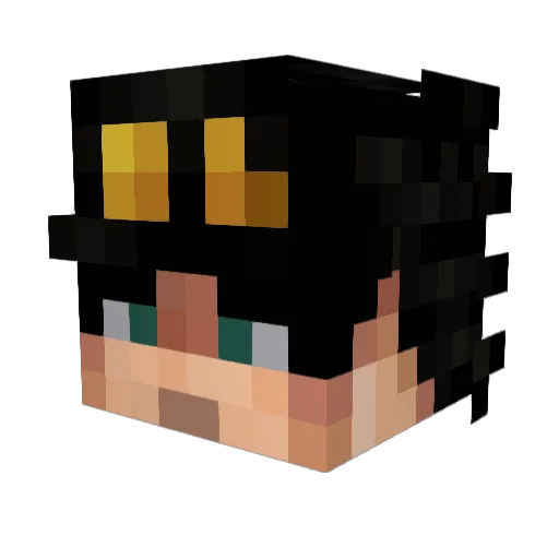 ArjunOnTop Minecraft avatar head, 3D render