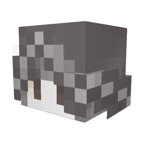 ArjunVoidvx5loml Minecraft avatar head, 3D render