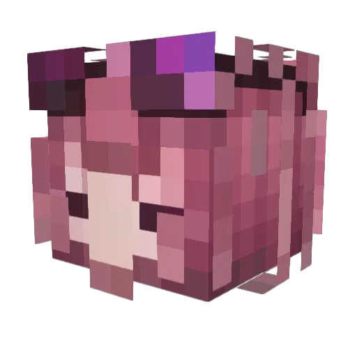 ArjunWolfek7loml Minecraft avatar head, 3D render