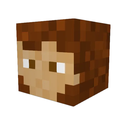 Ark715 Minecraft avatar head, 3D render