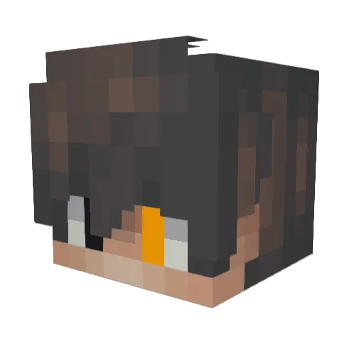 Ark806 Minecraft avatar head, 3D render
