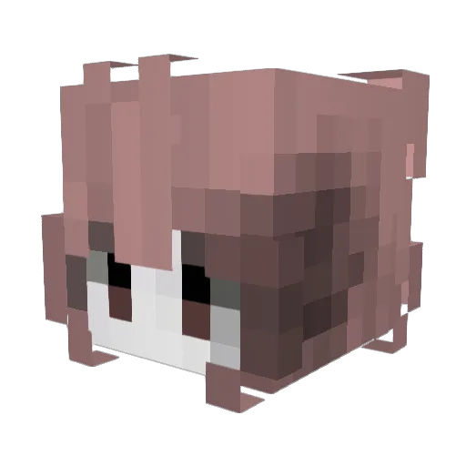 Ark9102 Minecraft avatar head, 3D render