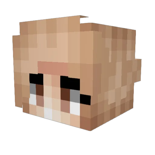 ArkAngelAria Minecraft avatar head, 3D render