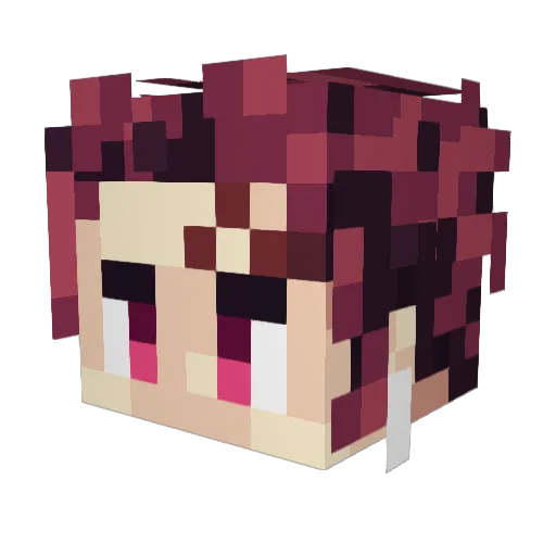 ArkMark Minecraft avatar head, 3D render
