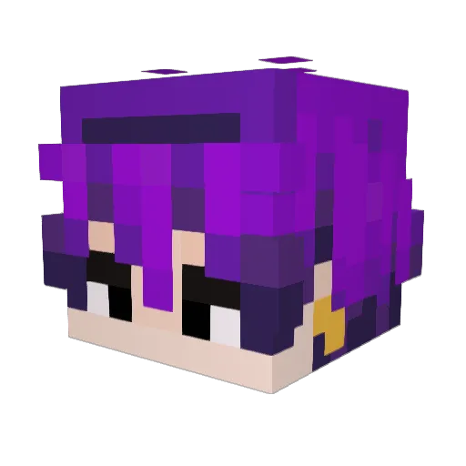 Arkaannanda Minecraft avatar head, 3D render