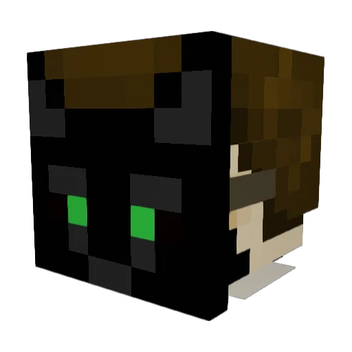 Arkady1978pl Minecraft avatar head, 3D render