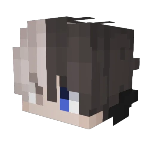 Arkaniaxx Minecraft avatar head, 3D render