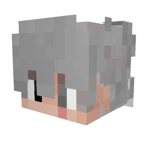 Arkdweller17 Minecraft avatar head, 3D render