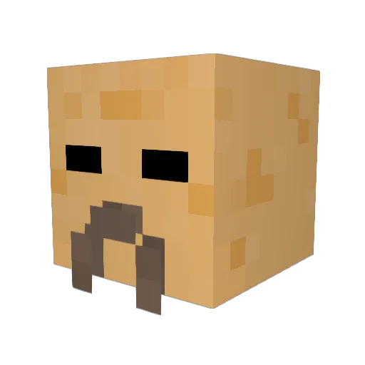 Arkeo02 Minecraft avatar head, 3D render