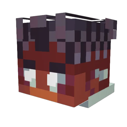 ArkhaCorvus Minecraft avatar head, 3D render