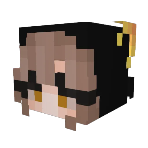 Arki607 Minecraft avatar head, 3D render