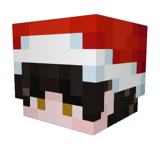 Arkiin0 Minecraft avatar head, 3D render